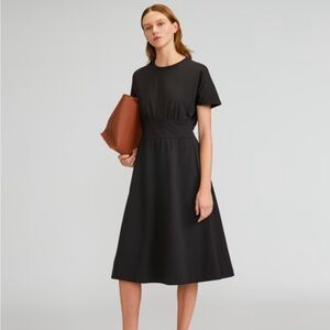Everlane Cotton Waisted Dress